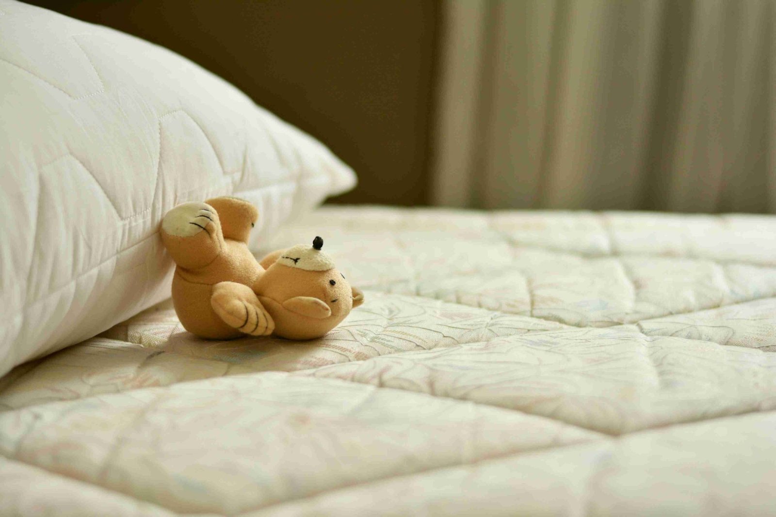 Prevention Strategies for Keeping Your Home Bed Bug-Free