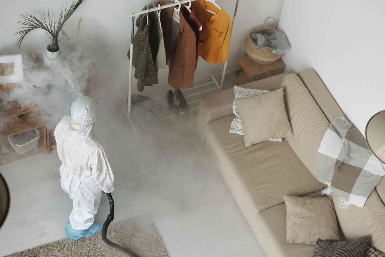 Eco-Friendly Pest Control Options for a Safer Home