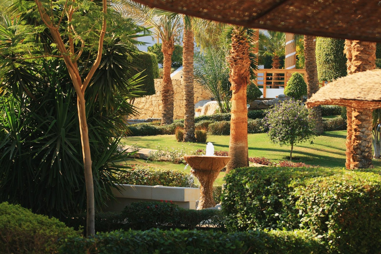The Future of Homeownership: A Smart, Sustainable Oasis